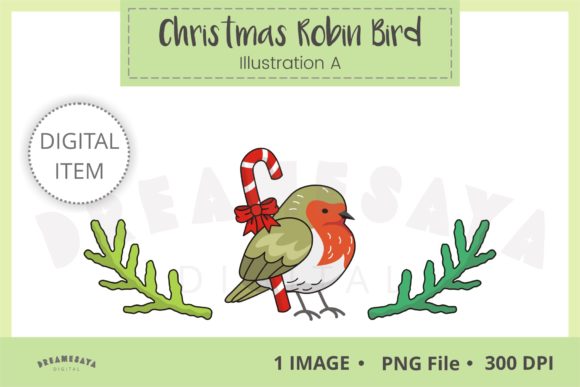 Christmas Robin Bird Illustration a