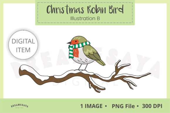 Christmas Robin Bird Illustration B