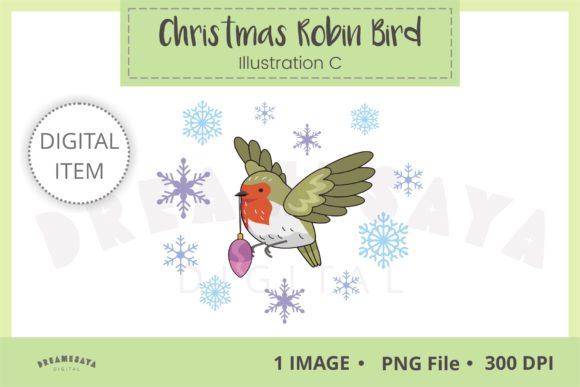 Christmas Robin Bird Illustration C